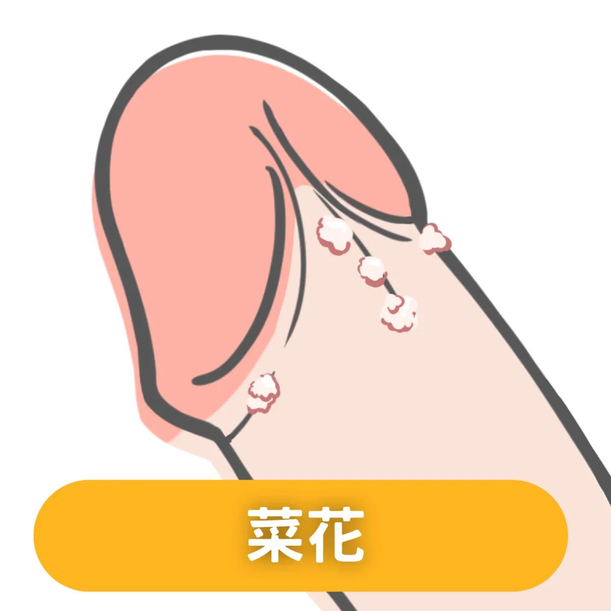 菜花